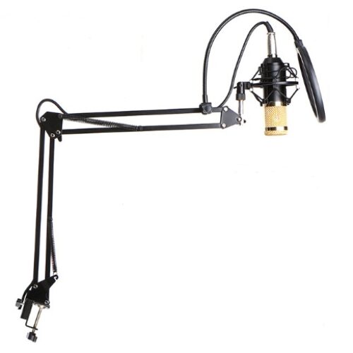 BM800 microphone set