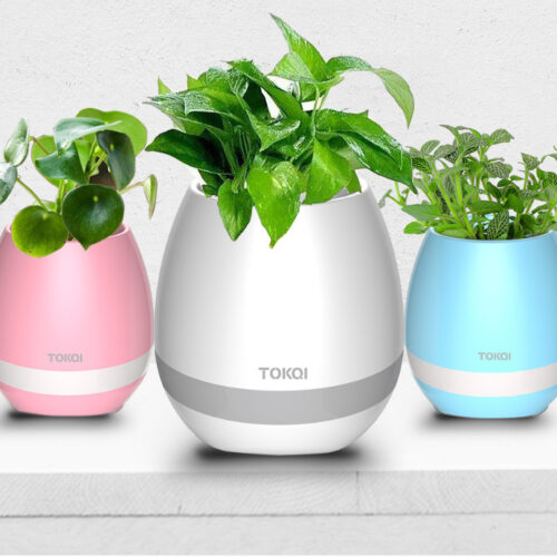 Touch-sensitive music vase desktop audio